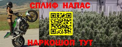 прущие грибы Магнитогорск