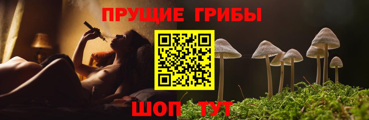 Галлюциногенные грибы ЛСД Гулькевичи